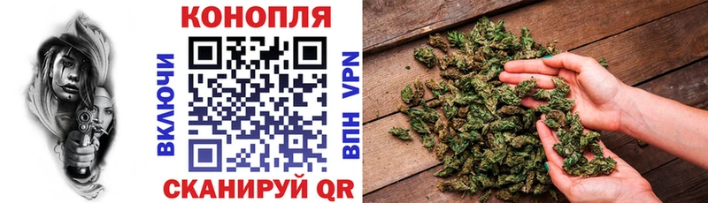 Где купить Кострома Марихуана  МЕФ  КОКАИН  ГАШ 