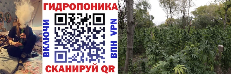 Марихуана THC 21%  Кострома 