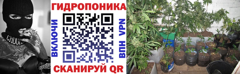 Каннабис тримм Кострома
